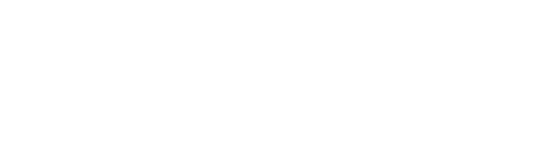 Neuro Surge Official